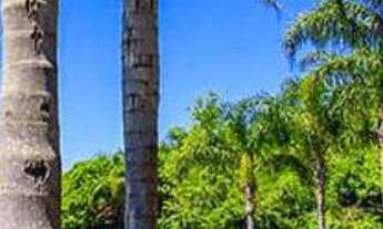 Imagem 2: Oportunidade Terreno a venda no Condomínio Costão do Golf