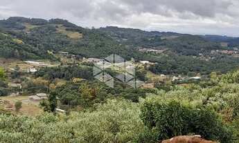 Imagem 3: BENTO GONçALVES - Terreno Padrão - Fátima