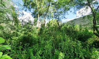 Imagem 6: Terreno à venda, 335 m² por R$ 319.500,00 - Hamburgo Velho - Novo Hamburgo/RS