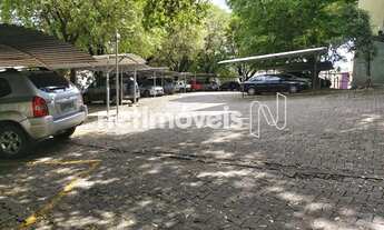 Imagem 5: Lindo e Amplo 03 Qtos Suíte -Oportunidade