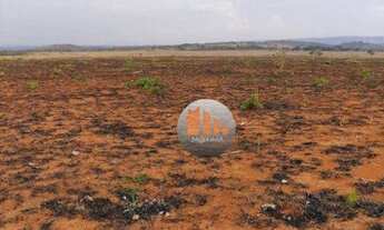 Imagem 5: Fazenda à venda, 340 alqueires por R$ 50.000.000 - Padre Bernardo/GO