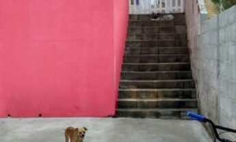 Imagem 7: Casa com um dormitório no Portal Alvorada em Jacareí