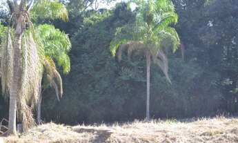 Imagem 4: Terreno Portal da Figueira