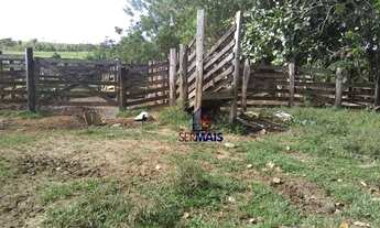 Imagem 3: Sítio à venda por R$ 2.520.000 - Zona Rural - Jaru/RO