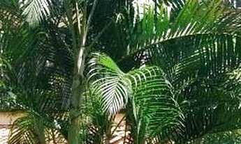 Imagem 2: Fazenda/Sítio/Chácara para venda com 7200 metros quadrados com 3 quartos