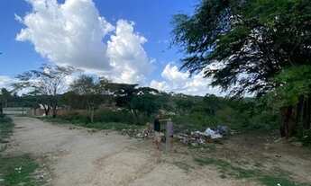 Imagem: Lote / Terreno em Cuités - Campina Grande
