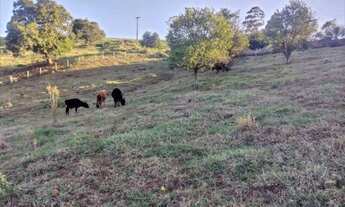 Imagem 2: Sitio em Buenos Aires