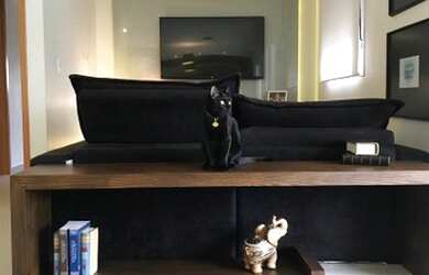 Imagem 6: Lindo apartamento para venda no Jd Botanico, Cond. Quintessence Orion, 3 suites, varanda g