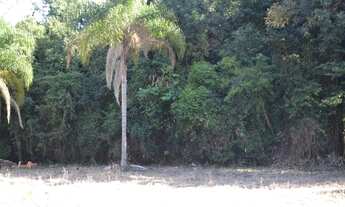 Imagem 7: Terreno Portal da Figueira