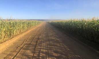 Imagem 2: Fazenda Agrícola de 240 alqueires em Caiapônia/GO
