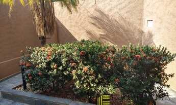 Imagem 7: SÃO JOSÉ DO RIO PRETO - Casa Padrão - JARDIM SÃO MARCOS