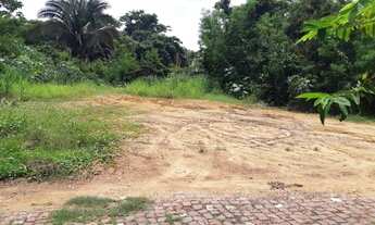 Imagem 2: Vendo terreno | Recanto das Palmeiras