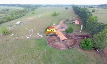 Imagem 4: Fazenda para Venda em Araguaína