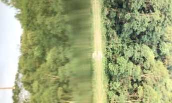 Imagem 6: Troco terreno por veículo em Nazaré!!!