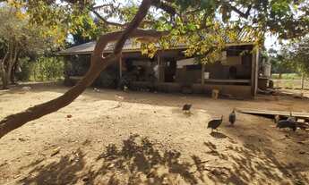 Imagem 2: Chácara de 24.200 m² entre o pedágio e Santa terezinha de itaipu