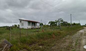 Imagem: Lotes em barreiras de jacuruna