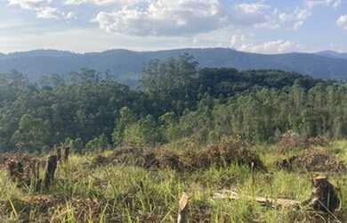 Imagem 7: Aproveite o seu lote