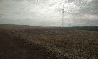 Imagem 2: VENDA Terreno / lote com venda por R$3.000.000