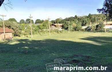 Imagem 4: Chácara para venda - Pinhais/PR