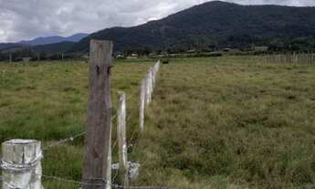 Imagem 1: Vendo lotes em Paulo Lopes