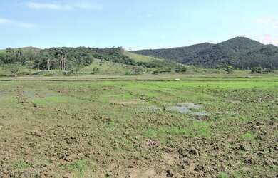 Imagem 6: Linda fazenda na Grande Florianópolis