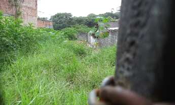 Imagem 3: Lote/Terreno para aluguel tem 400 metros quadrados em Vila Progredior - São Paulo - SP