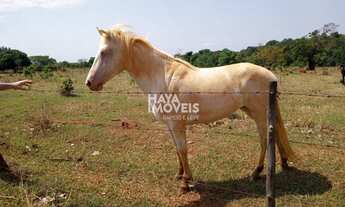 Imagem 5: Fazenda à venda, Rural, Aparecida do Taboado, MS