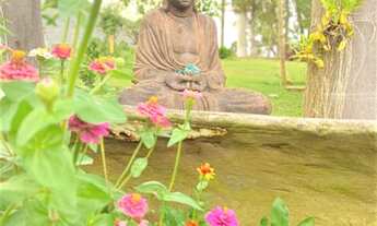 Imagem 3: Linda chácara Chácara com venda por R$650.000