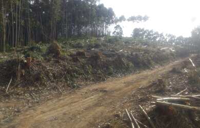 Imagem 2: Salesópolis - SP terrenos a venda