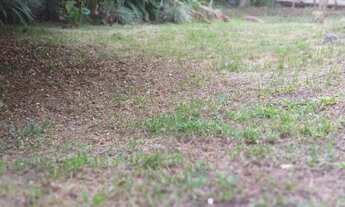 Imagem 2: Terreno-Engenho do Mato