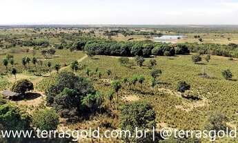 Imagem 4: Sítio à venda, Ideal para sem confinamento, piscicultura, pesque-pague e usina solar, 39ha