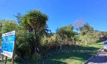 Imagem 2: CAXIAS DO SUL - Terreno Padrão - PLANALTO