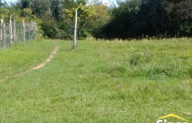 Imagem 9: Fazenda/Sítio/Chácara para venda tem 5643 metros quadrados em Lomba Grande - Novo Hamburgo