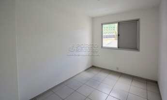 Imagem 6: FLORIANóPOLIS - Padrão - Centro