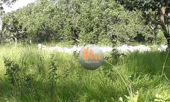 Imagem 5: Fazenda à venda, 750 alqueires por R$ 19.000.000 - Cocalinho/MT