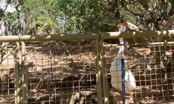 Imagem 4: Vende-se essa belíssima propriedade