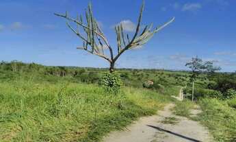 Imagem 7: Sítio para Venda em Gravatá, Gravatá Centro, 3 dormitórios, 1 suíte, 1 banheiro, 1 vaga