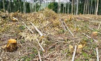 Imagem 4: Investimento certo