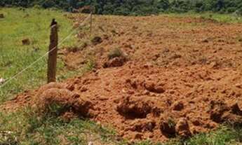 Imagem 7: Lindos lotes Terreno / lote com venda por R$50.000