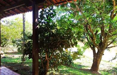 Imagem 4: Lindo sítio em Igarapé