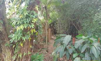 Imagem: TERRENO CENTRO