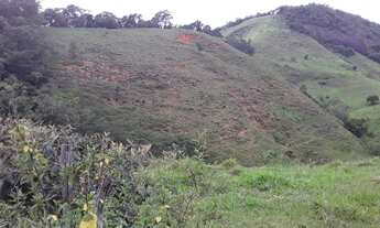 Imagem 7: MINI-FAZENDA COM 22,5 ALQUEIRÃO EM CONCEIÇÃO DE MACABÚ