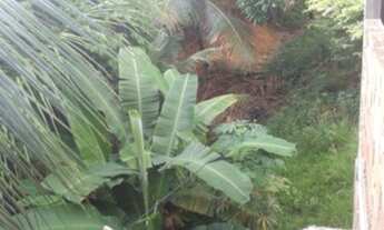 Imagem 3: Casa para venda com 180 metros quadrados com 2 quartos em Tapanã .