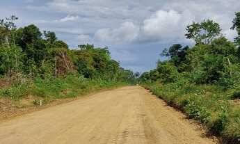 Imagem 4: Lote Chácaras Maiapolis