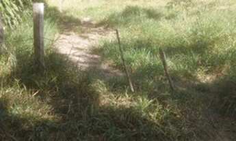 Imagem 4: Sítio à venda, 5000 m² por R$ 500.000,00 - Jardim Califórnia - Jacareí/SP