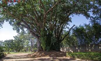 Imagem 4: Excelente terreno com ótima localização