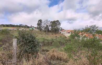Imagem 2: Lote/Terreno para venda com 3242 metros quadrados em Jardim Amélia - Pinhais - PR