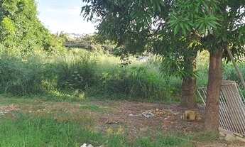 Imagem 7: Vendo no Estância Mestre D'Armas