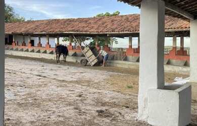 Imagem 5: Vendo Fazenda 66 hectares pronta