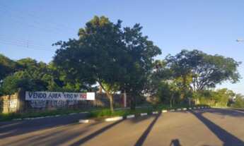 Imagem 3: CANOAS - Padrão - São José
